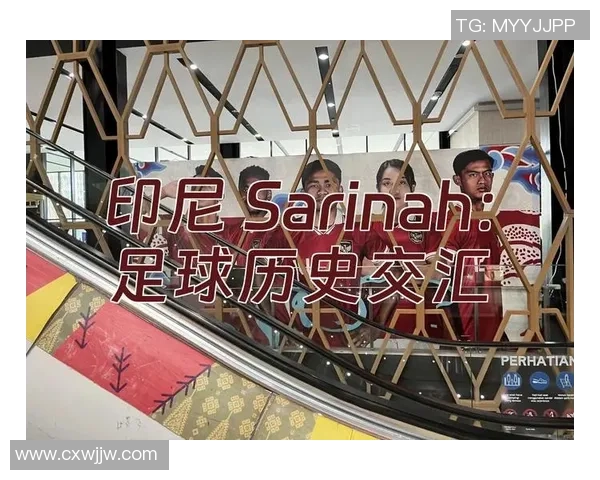 足球的全球语言：文化交融中的共同叙事与情感连接